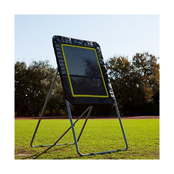 Champion Sports Deluxe Lacrosse Rebound Targets Ball Return Bounce