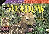 In the Meadow (Look Once, Look Again)