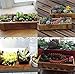 Hosaire Wooden Flower Pots Box Holder Modern Resin Succulent Planter Plant Container Box Plant Containers Nursery Plant Desktop Storage Box Style 2thumb 3