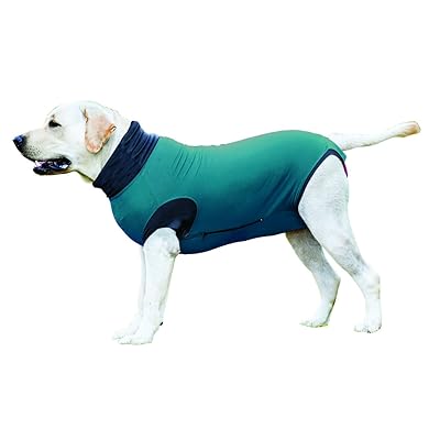 Recovery Suit Medical Pet Shirt Chien MAXX Dog Recovery Suit