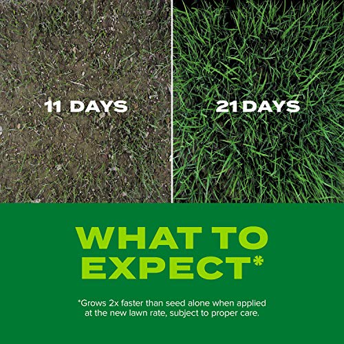 Scotts Turf Builder Rapid Grass Tall Fescue Mix, Combination Seed and