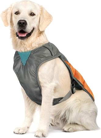 dog restraint jacket