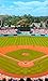 Baseball Pro 17