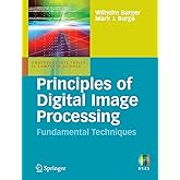 Principles of Digital Image Processing: Fundamental Techniques (Undergraduate Topics in Computer Science)