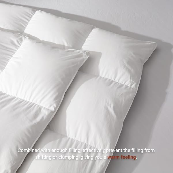 SAISIER WHITE GOOSE FEATHER DOWN COMFORTER CAL KING SIZE, PREMIUM ALL SEASON DUVET INSERT, 750 FILL POWER 1200TC COTTON BLEND FABRIC HOTEL STYLE COMFORTER, 52 OZ LIGHTWEIGHT (104X96,WHITE)