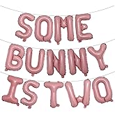 Some Bunny Is Two, Easter Themed Second Birthday Party Supplies, Birthday Banner Easter Rabbit Themed Baby Girls 2nd Birthday Decorations, Bunny Balloon (SOME BUNNY IS TWO Pink)