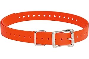 SportDOG Brand 3/4 Inch Collar Strap