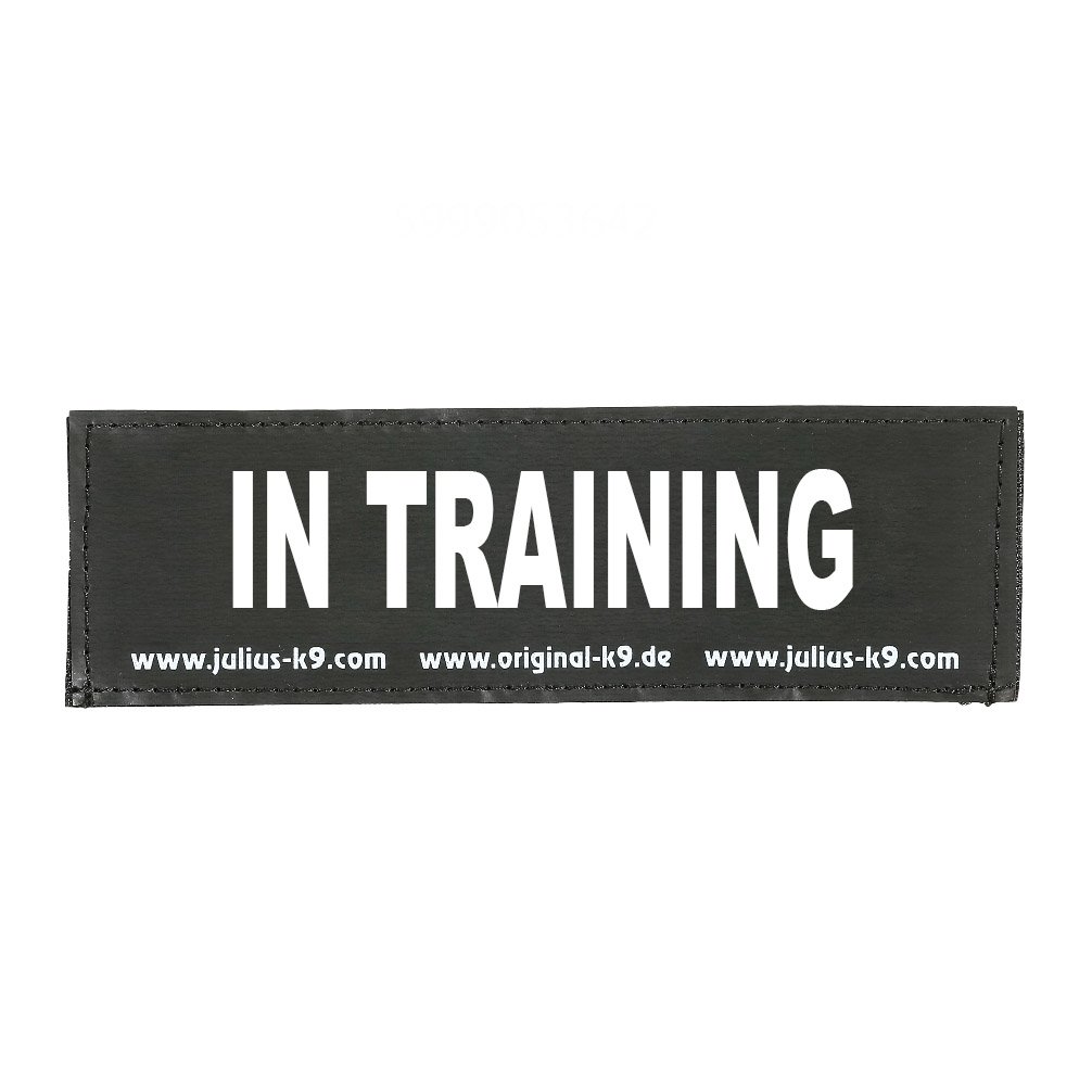 Julius-K9 Original Interchangeable Patch, Small, Black, In Training — image 1