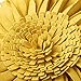 JWH Decorative Flower Throw Pillow Cover 3D Sunflower Pillow Case Round Cushion Handmade Floral Accent Pillowcase for Bed Living Room Couch 14 Inch Mustard Yellow