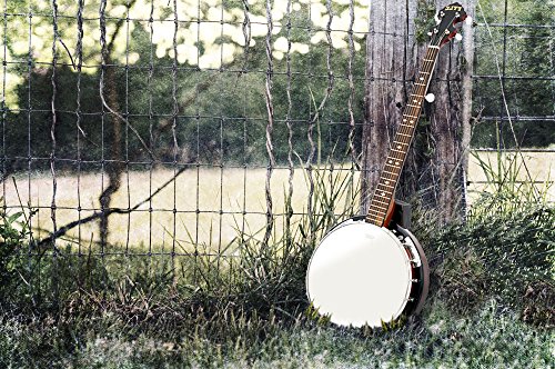 4 5+String+Banjo+White+Rosewood+Fretboard