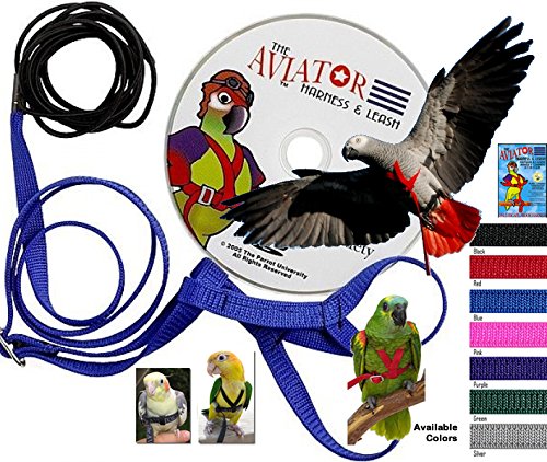 Aviator Harness and Leash Petite Green