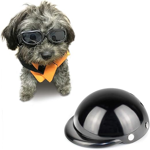 small dog helmet and goggles