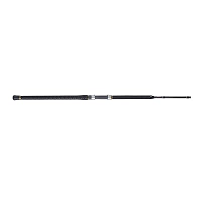 Penn Carnage II Surf Casting Fishing Rod