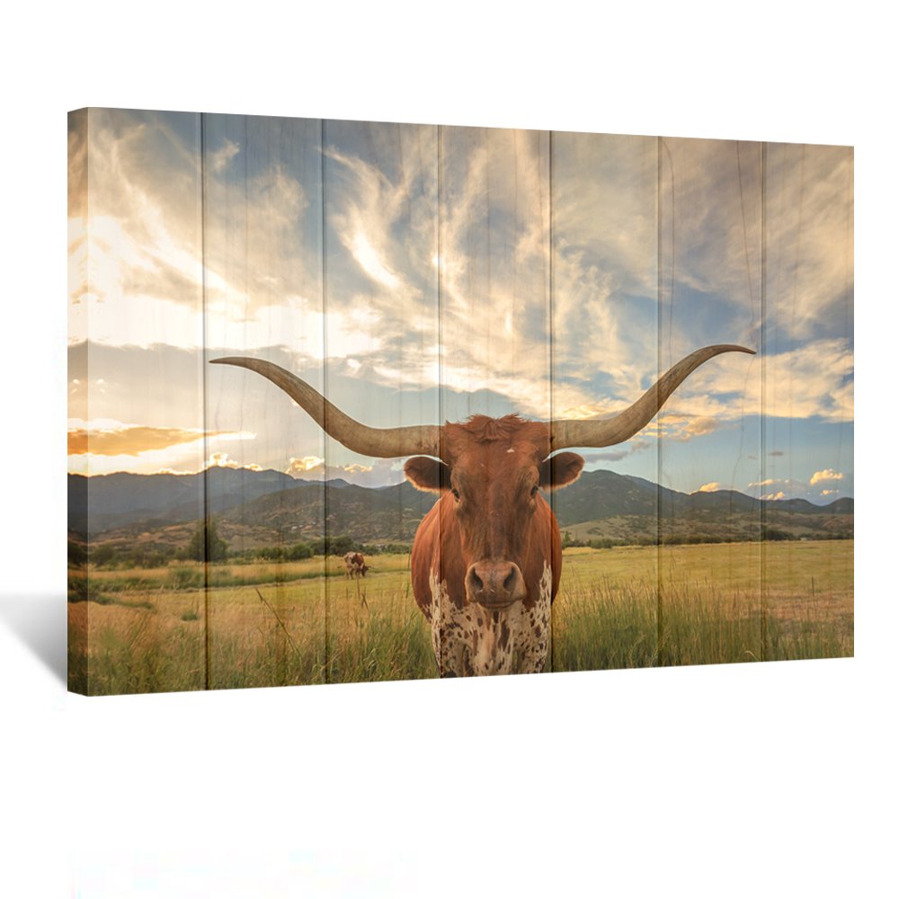 Texas Longhorn Canvas Prints Wall Art Animal Picture