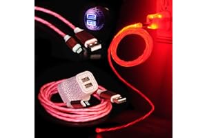 LyteCordz - Moving Glowing Spiral Lights Lighted Light Up LED Charging Cable Data Synch USB with Light Up Wall and Car Plug - Compatible with iPhone (All Models) (6 Feet, Red)