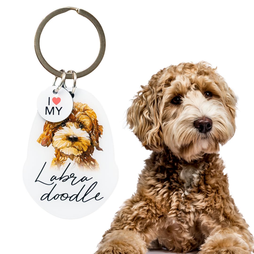 Splosh Labradoodle Keyring Gifts | Personalised Dog Key Chain & Custom Gift for Women | Dog Mum Cute Key Ring for Dog Lovers, Accessories & Tags
