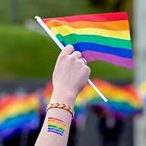 GCCL Rainbow Pride Flag Face Paint 6 Color Topcoat Brushes 1 Pack view 6