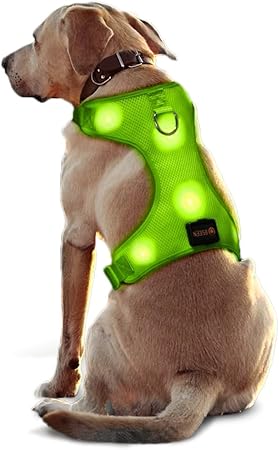 harmony dog harness
