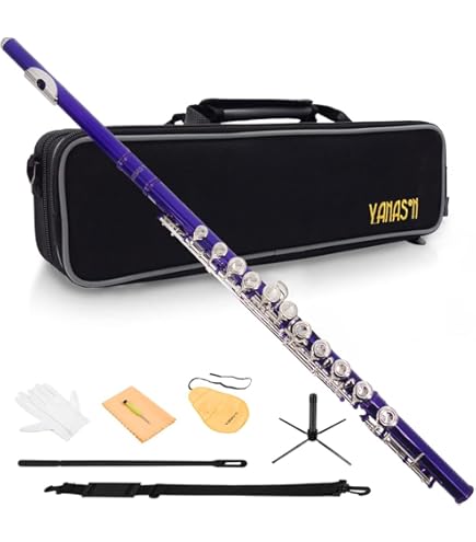 Amazon.com: Nuvo Student Flute – Metallic Blue/Black, Straight