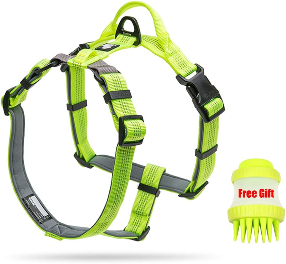 planet dog harness