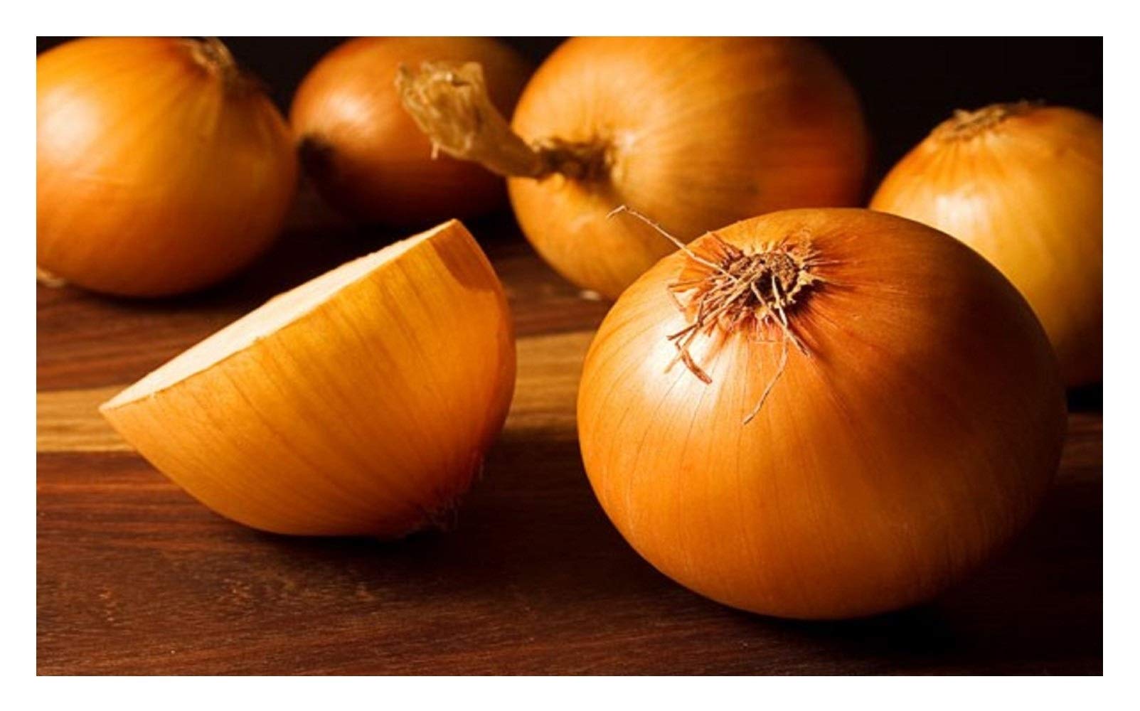 PREMIER SEEDS DIRECT - Onion - Stuttgart - 4.0 GRAM ~ Approx 1100 Finest Seeds