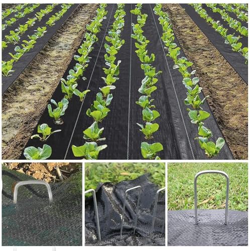 automoris 3.2OZ 6 * 300FT Weed Barrier Landscape Fabric with 100pcs 6inch Garden Staples,Heavy Duty Woven Ground Cover Weed Fabric Gardening Mat for Underlayment，Flower Beds, Pathways,Driveway