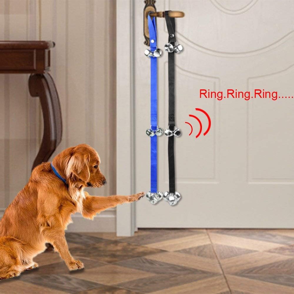 train dog to ring bell