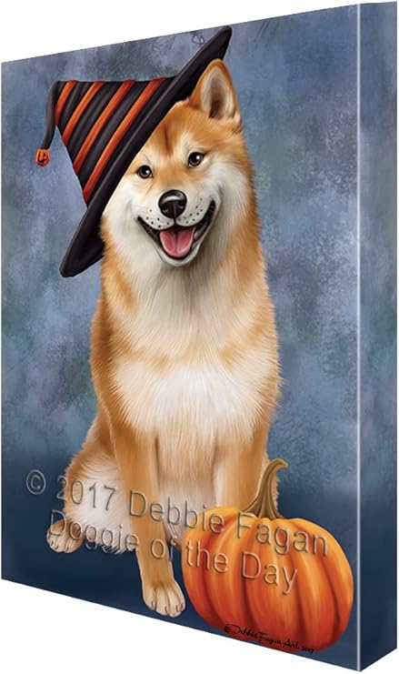 grey chow chow for sale