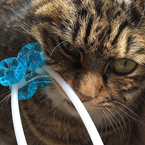 NoneBranded Cat Massage Roller Relaxer face Massager for Pet Toy 2