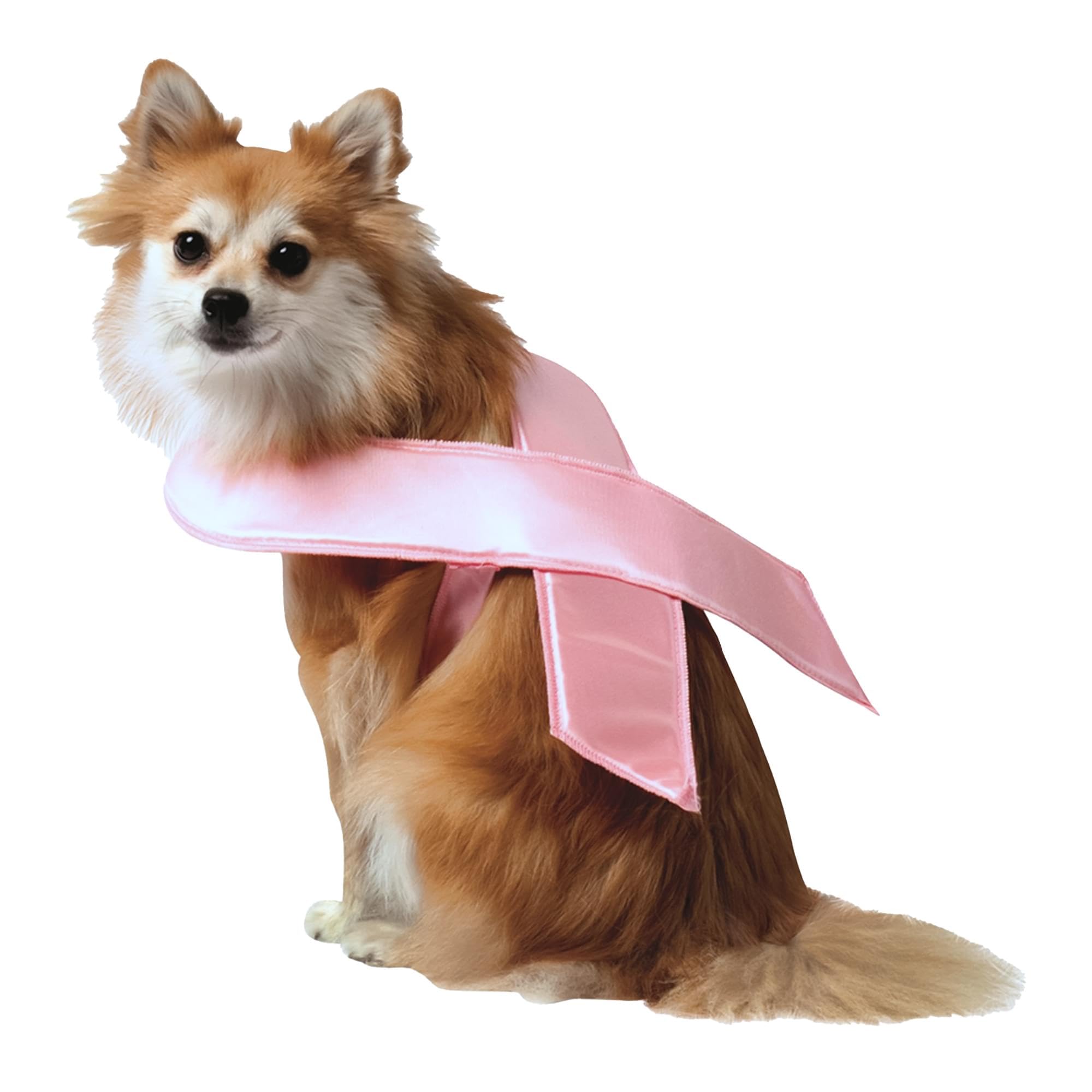 Rasta Imposta Ribbon, Small, Pink
