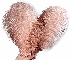 Lampu 10pcs Ostrich Feathers 14-16inch(35-40cm) for