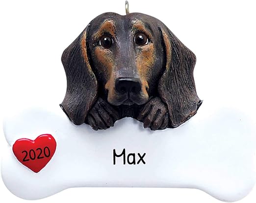 pure black dachshund