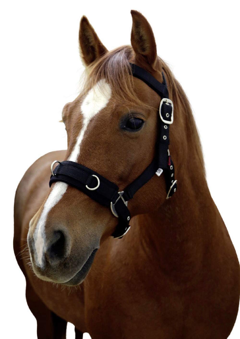 Kerbl Plastic Lunge Girth – Halter, Black