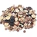Swpeet 650 Pieces Assorted Sizes Resin Buttons 2 and 4 Holes Round Craft Buttons for Sewing DIY Crafts Manual Button Painting (Coconut Shell Color)
