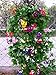 XHSP 2 Bunches Artificial Vines 35.4