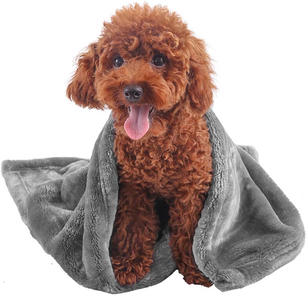 blankets over dog crates