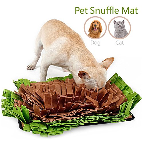 juguetes antiestres para perros
