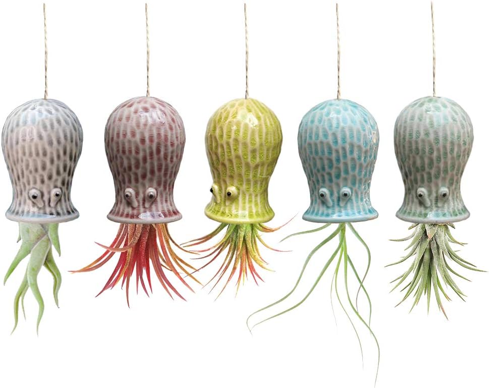 Mimeela 5 Pack Air Plant Holder Unique, Cute Octopus Air Plant Hanger Wall Planter, Ceramic Tillandsia Airplants Holders Hanging Wall Decor for Home Office (Small ( 2 x 3.2 in))