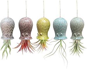 Mimeela 5 Pack Air Plant Holder Unique, Cute Octopus Air Plant Hanger Wall Planter, Ceramic Tillandsia Airplants Holders Hanging Wall Decor for Home Office (Small ( 2 x 3.2 in))