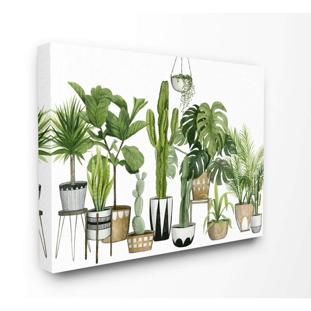 Design by Artist Grace Popp Stupell Industries Boho Plant Scene with