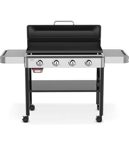 Amazon.com : Weber 28