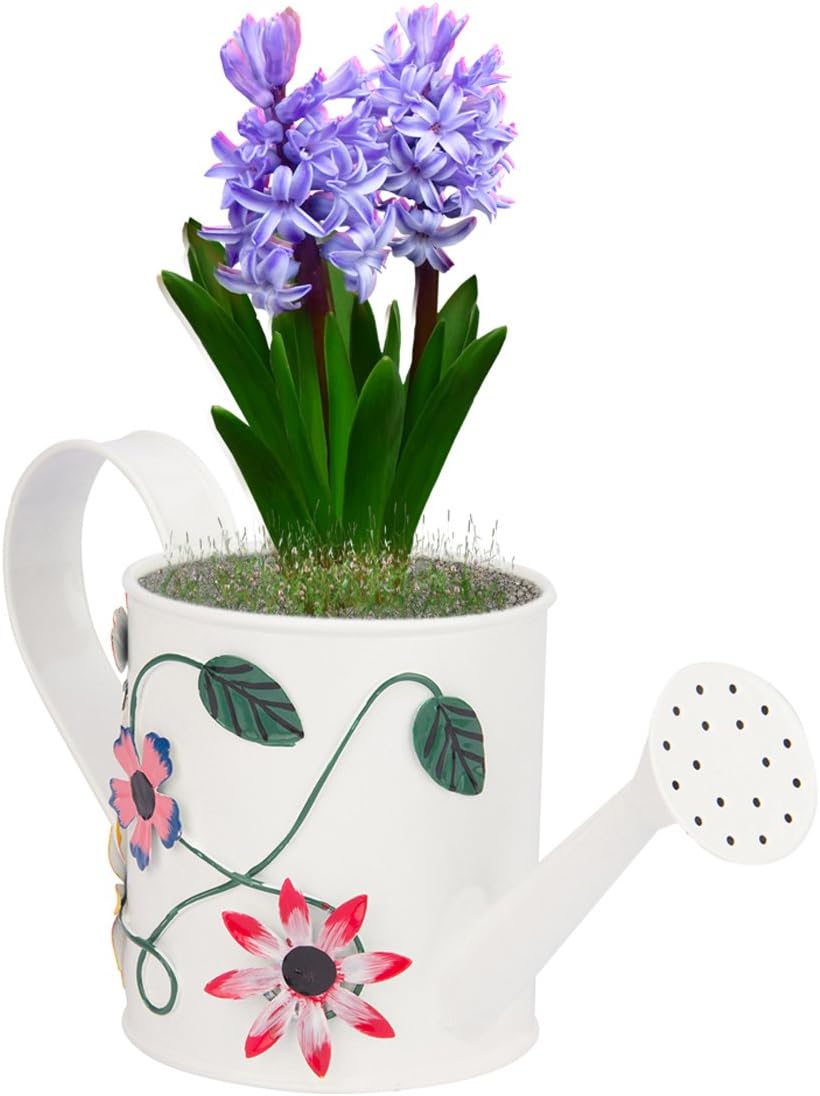 Nuha 1 Liter Metal Hand Painted Watering Can, Gift, Gifting, Kids Beach Garden Gardening