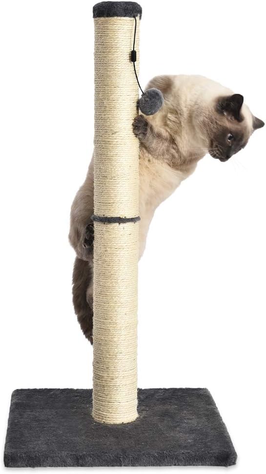 Basics Medium Cat Scratching Post - 16 x 16 x 32 Inches, Gray : Pet Supplies