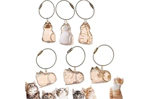 GENERIC 6Pcs Fur-Ever Loved Cat Hair Memorial Pendant, Cat Fur Keepsake Capsule Pendant, Cat Fur Keepsake Keychain, Pet Hair Storage Bottle, Cat Lover Collecting Gift