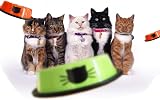 SUOXU Stainless Steel Non-Slip Cat Bowl Set of 3 Black Red Multi-Purpose view 6