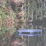 BLISS OUT 12                                       image
