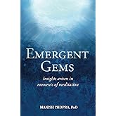 Emergent Gems: Insights arisen in moments of meditation