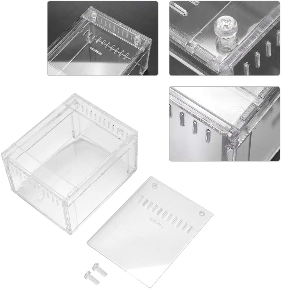 Acrylic Transparent Reptile Breeding Box for Breeding and Feeding - Image 5