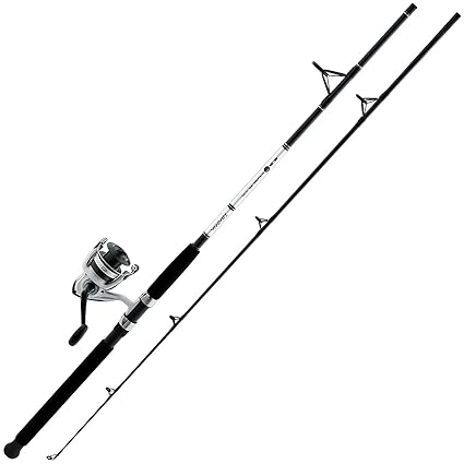 daiwa d wave rod