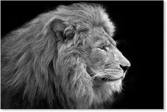 Amazon.com: SEVEN WALL ARTS -Black White Modern Canvas Wall Art Animal